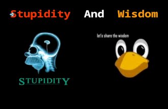 stupidity-and-wisdom