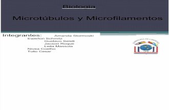Microtúbulos y Microfilamentos.pptx