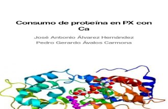 Consumo de Proteína en Pacientes Con Cancer