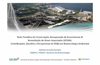 Rede Temática de Conservação, Recuperação de Ecossistemas & Remediação de Áreas Impactadas (ECOAI): Contribuições, Desafios e Perspectivas de PD&I em Biotecnologia Ambiental
