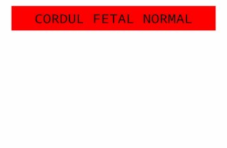 Cordul Fetal Normal