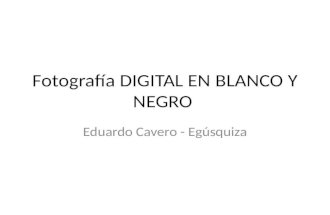 Fotografia en Blanco y Negro Digital