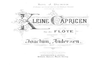 Andersen - Petit Caprice Pour Flute Seue Op.37