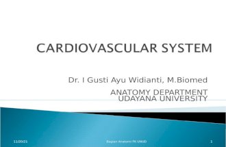 Anatomi Sistem Kardiovaskular