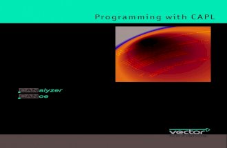 Programming With Cap l