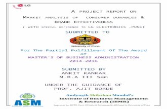 Eric Kankar Final Project Report