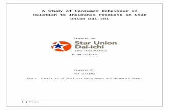 Star Union Diachi Project Report