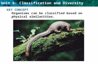 Unit 6: Classification and Diversity KEY CONCEPT Organisms can be classified based on physical similarities.