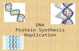 DNA Protein Synthesis Replication. DNA carries a code for proteins.