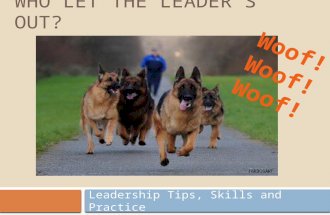 WHO LET THE LEADER’S OUT? Leadership Tips, Skills and Practice.