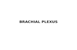 BRACHIAL PLEXUS. OBJECTIVES. DEFINATION OF PLEXUS HOW IT IS FORMED DIFFERENT PARTS OF BRACHIAL PLEXUS. BRANCHES FROM BRACHIAL PLEXUS.