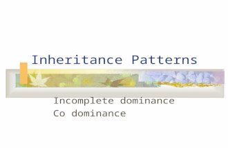 Inheritance Patterns Incomplete dominance Co dominance.