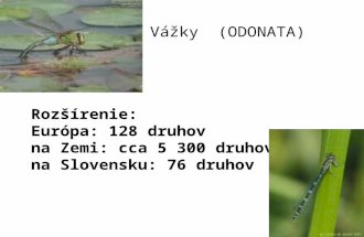 Odonata VáVžky Rozšírenie: Európa: 128 druhov na Zemi: cca 5 300 druhov na Slovensku: 76 druhov Vážky (ODONATA)