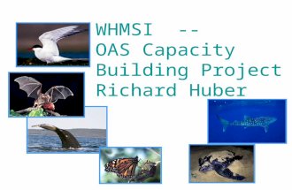 WHMSI -- OAS Capacity Building Project Richard Huber.