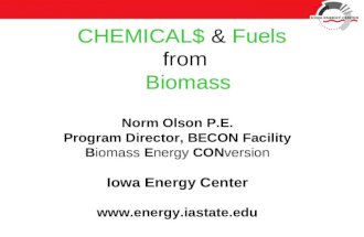 CHEMICAL$ & Fuels from Biomass Norm Olson P.E. Program Director, BECON Facility Biomass Energy CONversion Iowa Energy Center .