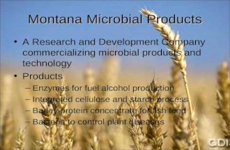 Montana Microbial Products A Research and Development Company commercializing microbial products and technology Products –Enzymes for fuel alcohol production.