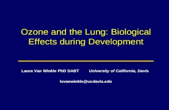 Ozone and the Lung: Biological Effects during Development Laura Van Winkle PhD DABT University of California, Davis lsvanwinkle@ucdavis.edu.