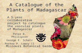A Catalogue of the Plants of Madagascar Peter B. Phillipson George E. Schatz Porter P. Lowry II Missouri Botanical Garden A 5-year collaborative project.