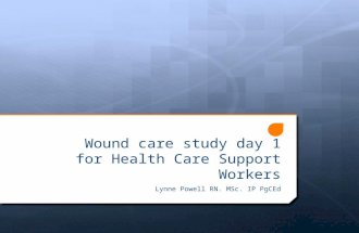 Wound care study day 1 for Health Care Support Workers Lynne Powell RN. MSc. IP PgCEd.