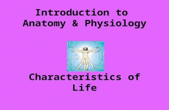 Introduction to Anatomy & Physiology Characteristics of Life.