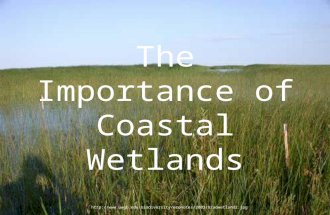 The Importance of Coastal Wetlands .