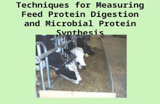Techniques for Measuring Feed Protein Digestion and Microbial Protein Synthesis.