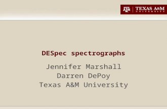 DESpec spectrographs Jennifer Marshall Darren DePoy Texas A&M University.
