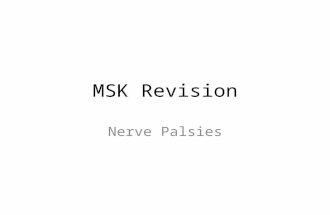 MSK Revision Nerve Palsies. Tips… Have a plan and stick to it!! Rest – take regular breaks and get your sleep If you can easily turn it into an exam question.