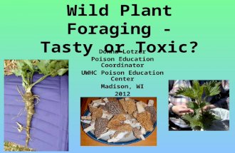 Wild Plant Foraging - Tasty or Toxic? Donna Lotzer Poison Education Coordinator UWHC Poison Education Center Madison, WI 2012.