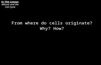 From where do cells originate? Why? How? In This Lesson: Mitosis and the Cell Cycle.