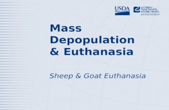 Mass Depopulation & Euthanasia Sheep & Goat Euthanasia.