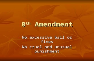 8 th Amendment No excessive bail or fines No cruel and unusual punishment.