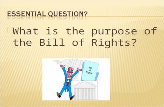What is the purpose of the Bill of Rights?.  How does the Bill of Rights affect our lives?  What if there was no Bill of Rights?  How does the Bill.