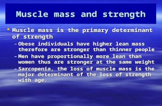 Muscle mass and strength  Muscle mass is the primary determinant of strength –Obese individuals have higher lean mass therefore are stronger than thinner.