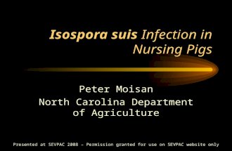 Isospora suis Infection in Nursing Pigs Peter Moisan North Carolina Department of Agriculture Presented at SEVPAC 2008 – Permission granted for use on.