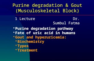 Purine degradation & Gout (Musculoskeletal Block) Purine degradation pathway Fate of uric acid in humans Gout and hyperuricemia: Biochemistry Types Treatment.