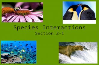 Species Interactions Section 2-1. Species Interactions Species within a community develop close interactions, known as symbiosis. –“Sym” means together.