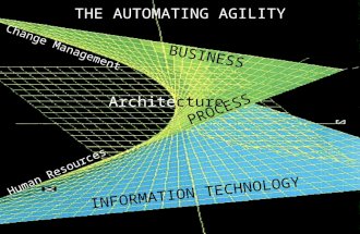 ©Amit Mitra & Amar Gupta BUSINESS INFORMATION TECHNOLOGY PROCESS Architecture THE AUTOMATING AGILITY Change Management Human Resources.