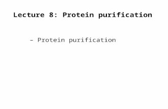 Lecture 8: Protein purification –Protein purification.