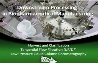 Downstream Processing in Biopharmaceutical Manufacturing Harvest and Clarification Tangential Flow Filtration (UF/DF) Low Pressure Liquid Column Chromatography.