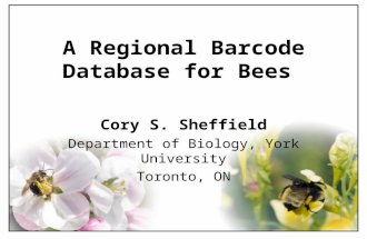 A Regional Barcode Database for Bees Cory S. Sheffield Department of Biology, York University Toronto, ON.