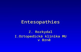 Entesopathies Z. Rozkydal I.Ortopedická klinika MU v Brně.