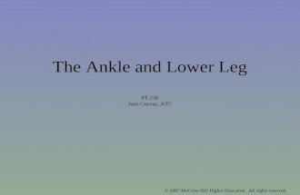 © 2007 McGraw-Hill Higher Education. All rights reserved. The Ankle and Lower Leg PE 236 Juan Cuevas, ATC.