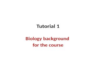 Tutorial 1 Biology background for the course. Genome sizes and number of genes OrganismGenome SizeNo. of genes E. coli4.6 Mb~4,300 genes Baker’s Yeast12.