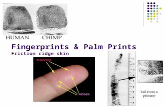 Fingerprints & Palm Prints Friction ridge skin. Mark Twain & Fingerprints Mark Twain's 1883 memoir, "Life on the Mississippi", described how a murderer.