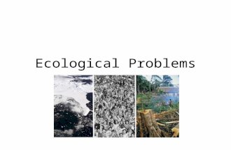 Ecological Problems. Biological Magnification Increase or concentration of a substance, such as the pesticide DDT, in a food chain.