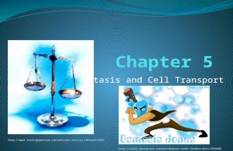 Homeostasis and Cell Transport  .