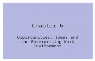 Chapter 6 Opportunities, Ideas and the Enterprising Work Environment.