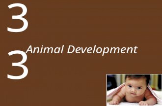 Animal Development 33. Chapter 33 Animal Development Key Concepts 33.1 Fertilization Activates Development 33.2 Cleavage Repackages the Cytoplasm of the.