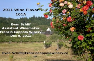2011 Wine Flavor 101A Evan Schiff Assistant Winemaker Francis Coppola Winery Dec 9, 2011 Evan.Schiff@Franciscoppolawinery.com.